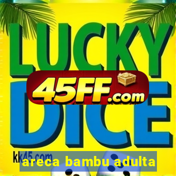 areca bambu adulta